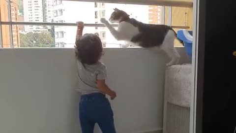 A wise cat