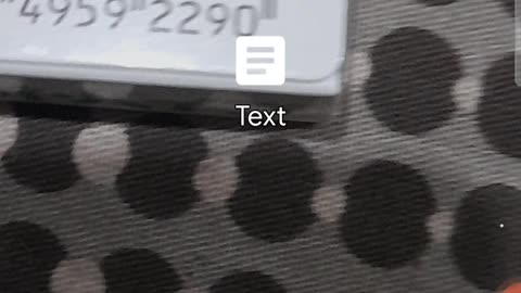 Translate any text