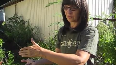 How to Harvest & Store Your Garden Seeds