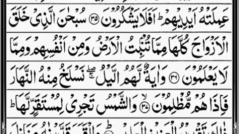 Surah Yaseen Tilawat