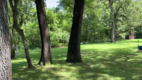 Indiana Tippecanoe River State Park Campground