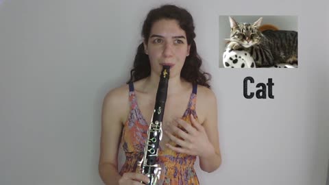 Animal sounds on clarinet