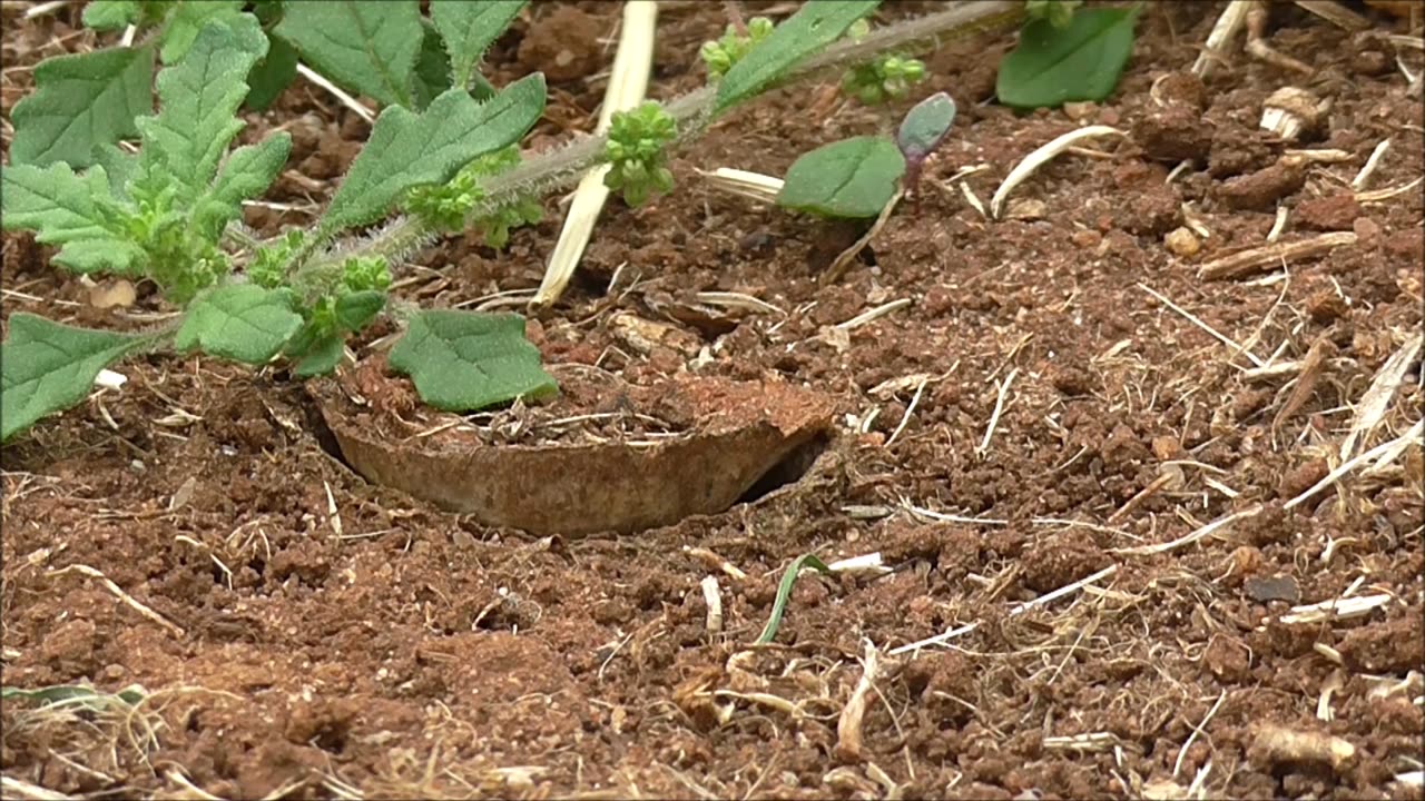 Sally The Snatch Trapdoor Bitch - Essential Maintenance