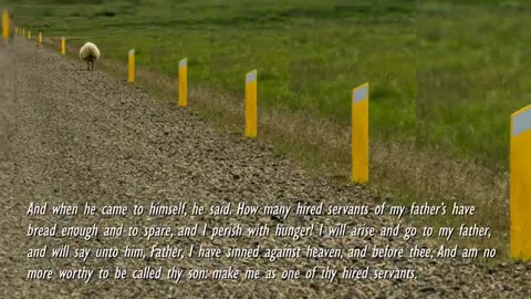 I am your Shepherd & I seek My lost and straying Sheep ❤️ The Lord elucidates Luke 153-32