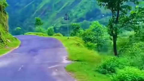 Beautiful Green Street Mansehra Pakistan