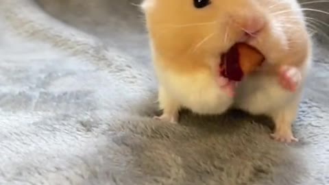 As long as you have food he will love you 😂❤️