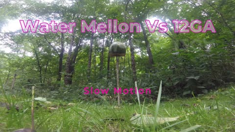 Watermelon vs 12GA slow motion