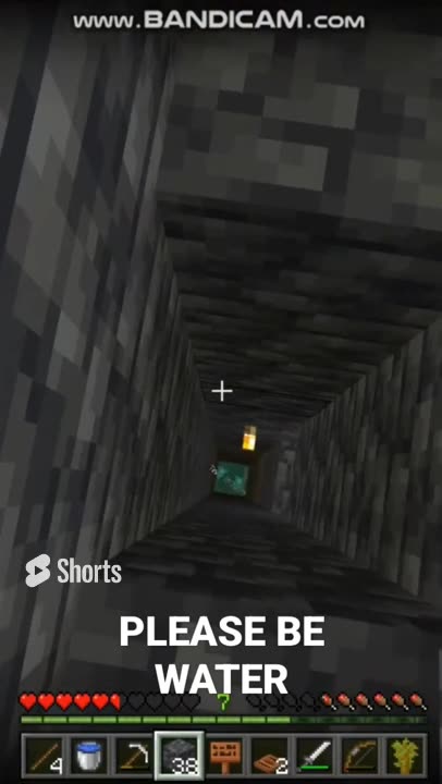 Please Be Water | SV Shorts