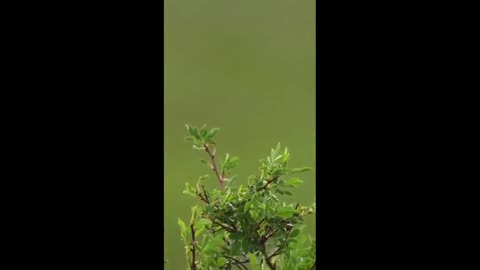 beautiful corner long live nature
