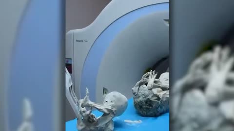 Cambridge Scientist Discovered An Alien What Happened Next Shocked Everyone!