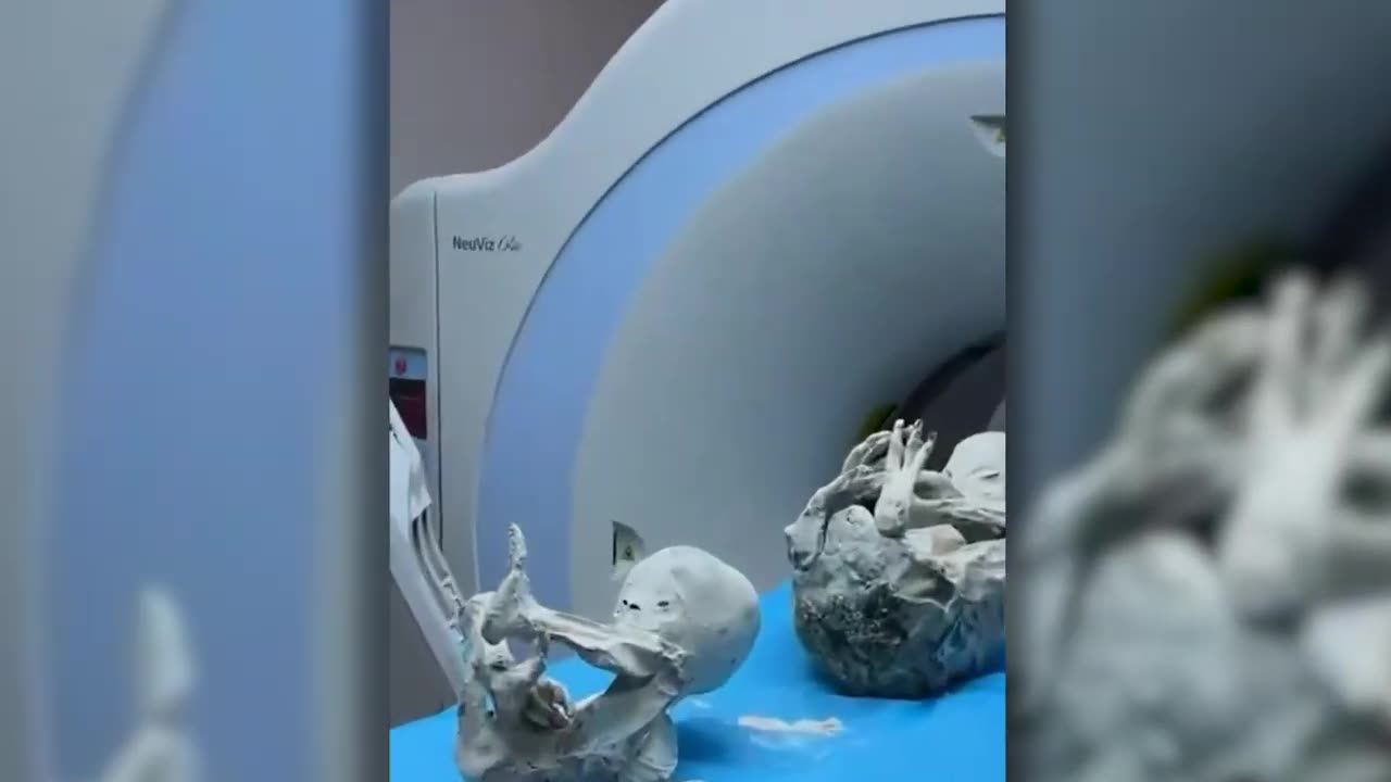 Cambridge Scientist Discovered An Alien What Happened Next Shocked Everyone!