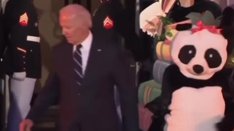 Jill Biden Wears Giant Panda Costume For Halloween