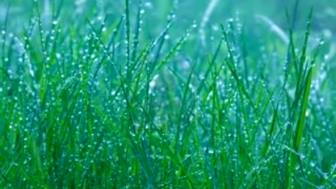 Sound of rain, energy recovery in 20 min.