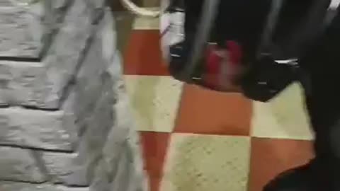 Snake in the helmet you must check helmet before wearing