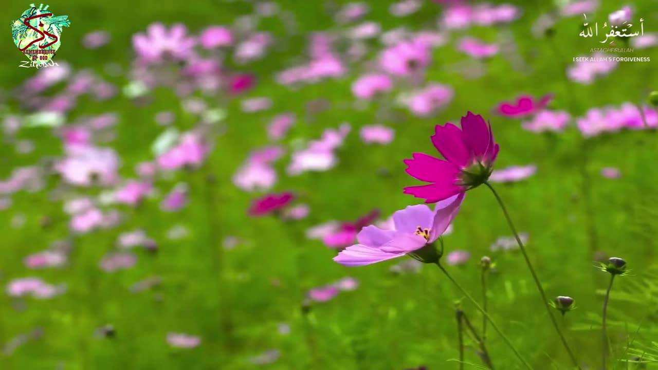Surah Waqiah by A.Gailaan #trending #viral #quran #status #islam #muslim #meditation #asmr #relaxing