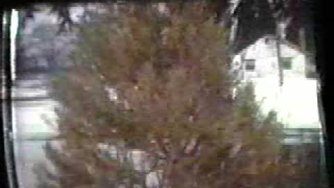 Christmas Tree Sale (M&Wproductions)