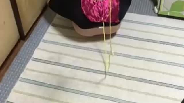 Funny clip