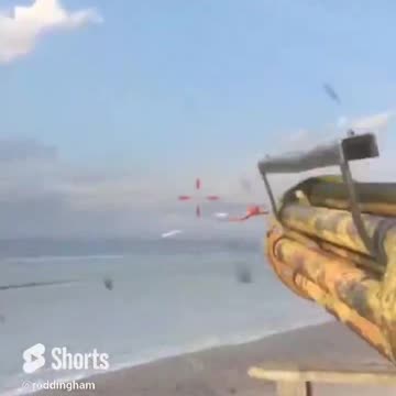 Pilot attempts roadkills