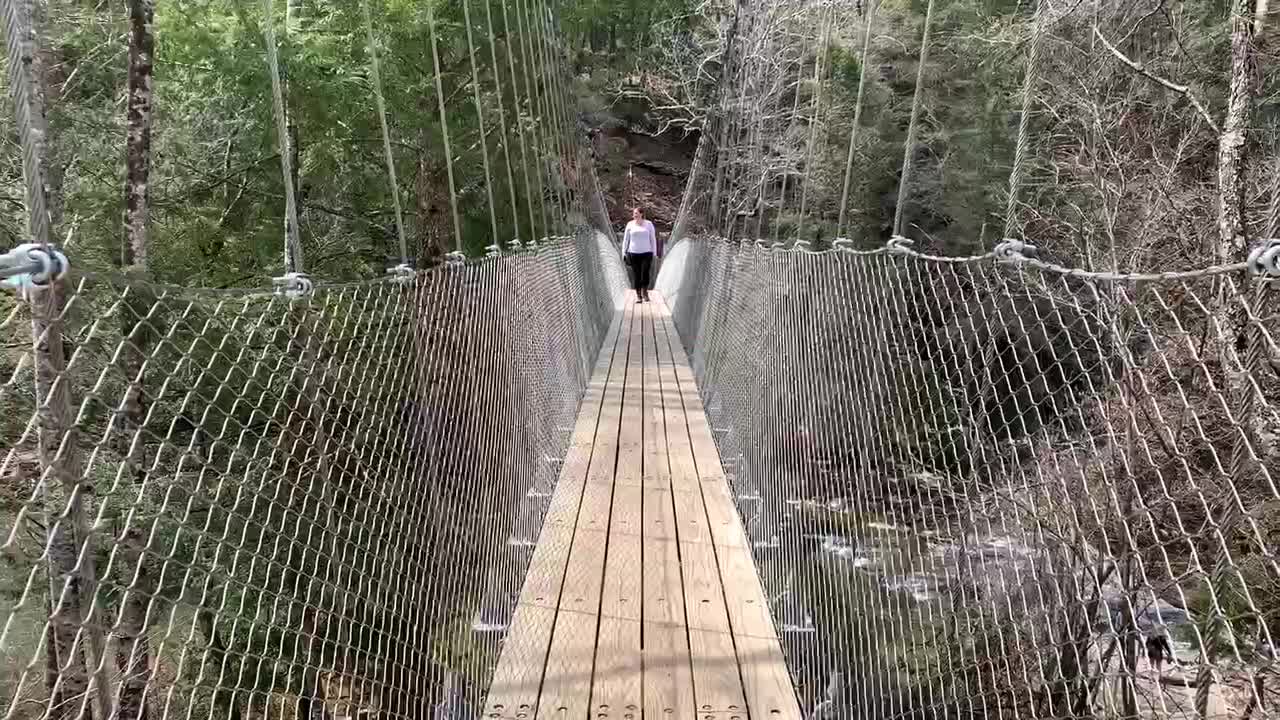 COULD YOU IGNORE THE SHAKING?