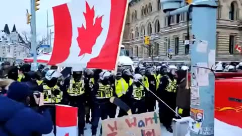 For the second day in a row, Ottawa police physically attack
