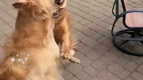 Naughty child