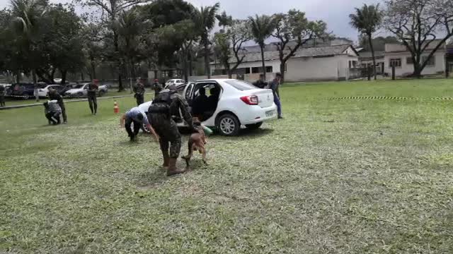 APRESENTAÇÃO DE CÃES DO EXÉRCITO EM ITAGUAÍ NO RJ!!