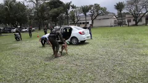 APRESENTAÇÃO DE CÃES DO EXÉRCITO EM ITAGUAÍ NO RJ!!