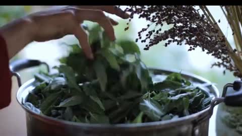 The life of rapeseed oil
