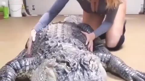 Cute and adorable animal behavior makes anyone happy to see it