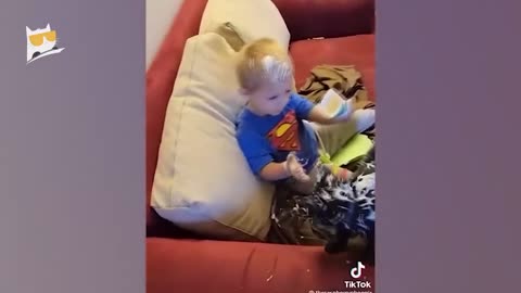 Hour of Funniest Animals Funniest Cats and Dogs