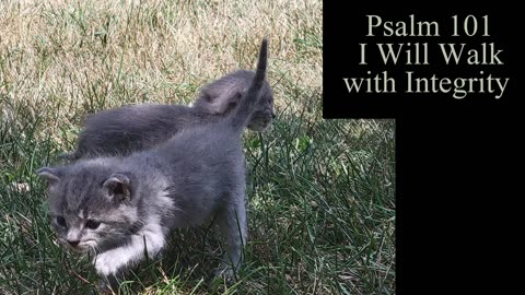 Psalm 101 - ESV Audio
