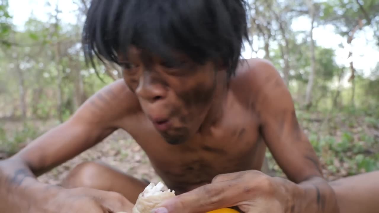 Primitive Technology -cock Pig Intestine for Lunch - Eating in jugle delicious #000196