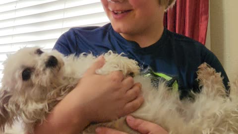 Asking Dog if he Farted!