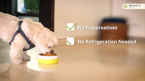 Benny's Bowl. Feeding fresh made easy. Dogs. Pummy videos.