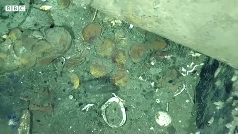San José galleon: Two new shipwrecks found off Colombian coast - BBC News