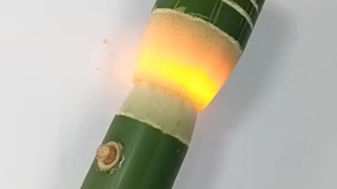 Green light | bamboo light