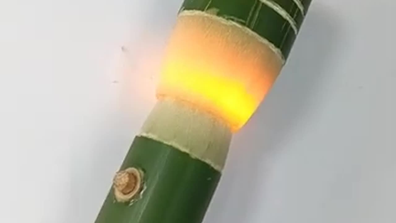 Green light | bamboo light