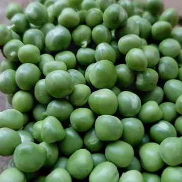 How to Grow a lots of Green Peas