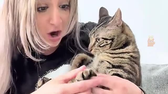 You can't say no to a pussycat who asks for a cuddle