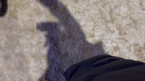 ❌ Non era mai successo prima, ed eccolo di nuovo.