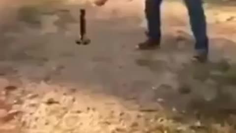 Try not to laugh (Funniest video)