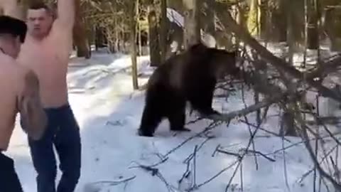 BEAR TRAINING WITH HUMAN FRIENDS 😁💪