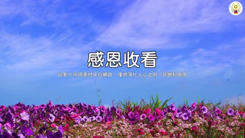 花錢就能了事？怕就怕花錢還惹事！
