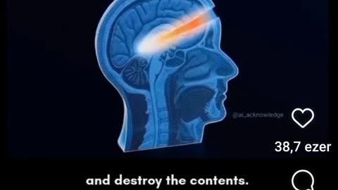 Nem szükséges komment!