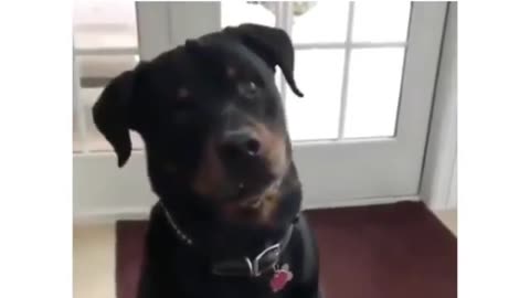 Cute animal moment 😀😻