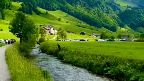 beautiful garden natural scenery