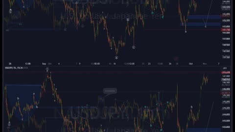 #forextopdawg