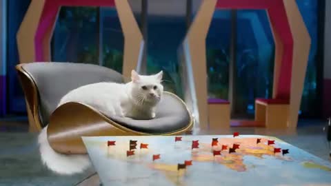Whiskas K.I.T Cat Nutrition and Behaviour_1