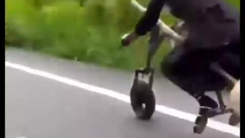 WITCH RIDE