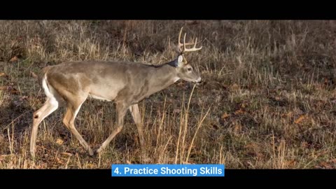 How "Deer Season 101: Everything You Need to Know Before You Go Hunting" can Save You Time, Str...